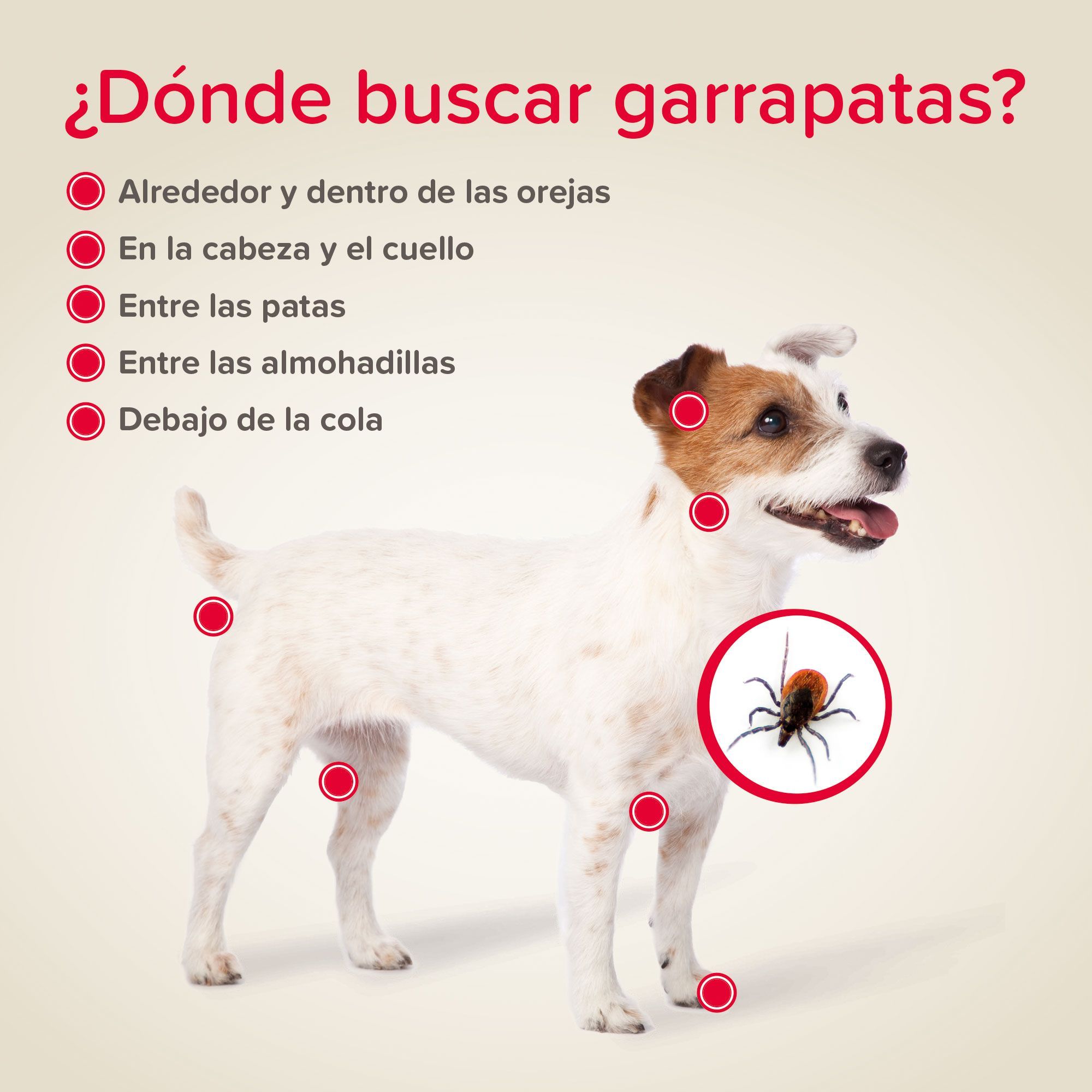 Canishield® Collar Antiparasitario para Perros – 2×48 cm - Imagen 5