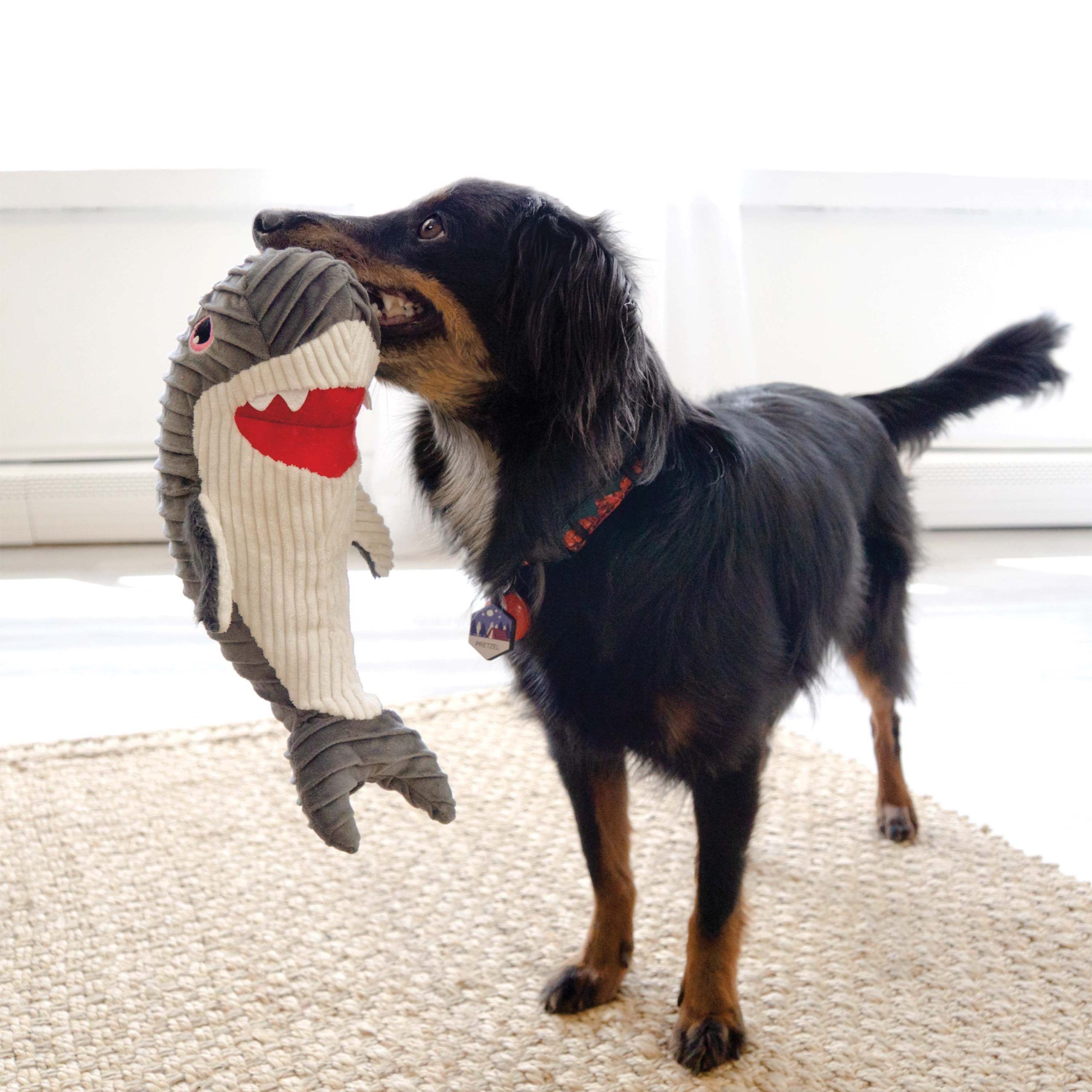 Kong Cuteseas Rufflez Shark M/L - Imagen 2