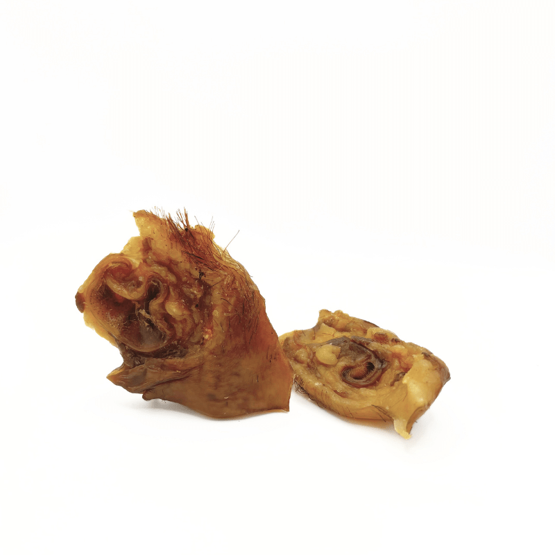 Flor de cerdo ibérico snack natural para perros